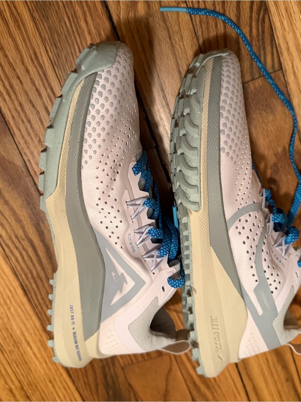 Nike Light Pink Trail Shoes with Blue Laces
